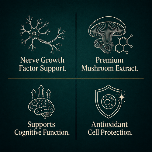 Lion's Mane Superfood Gummies